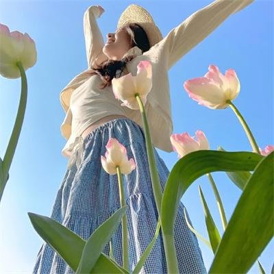 候鸟之爱