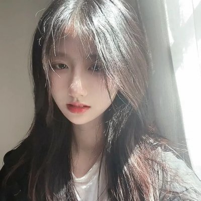 鼩鼱的巢穴
