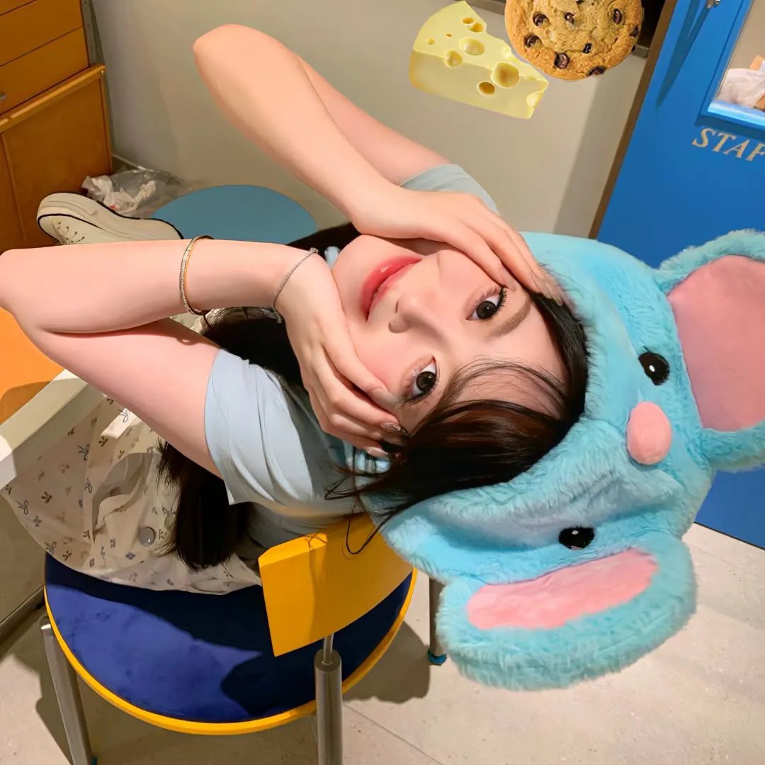 少年骑士
