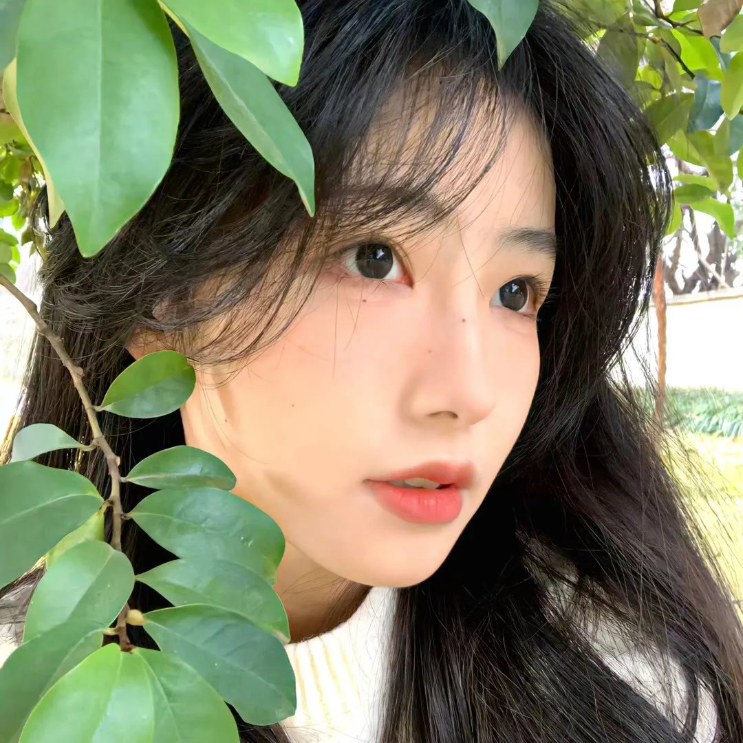 盒子